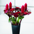 fd48_anthurium.tif