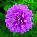 aster_hybrid_elisabeth10a.tif