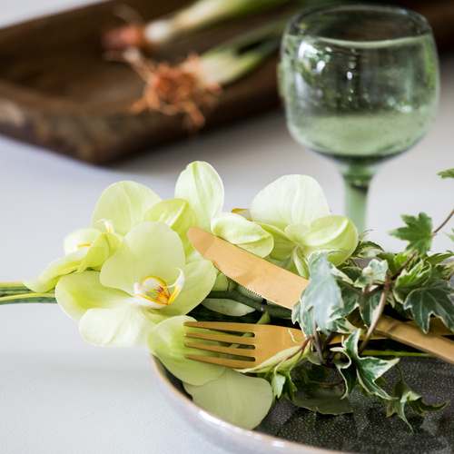 Phalaenopsis_sansevieria-hedera_-_luftrenser.jpg