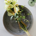 Sansevieria_trifasciata-_Phalaenopsis_hedera_-_luftrenser_2.jpg