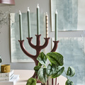 Lundager_-_Philodendron_Pictus__3_.jpg